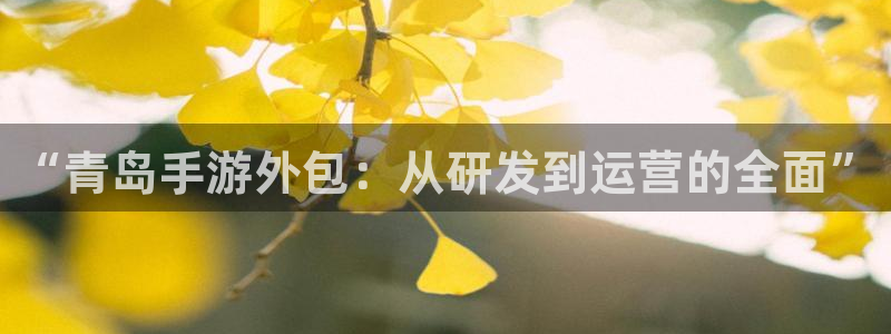 恒盛娱乐登陆：“青岛手游外包：从研发到运营的全面”