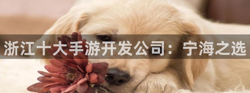 恒盛娱乐注册：浙江十大手游开发公司：宁海之选