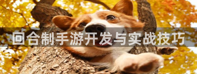 恒盛娱乐登录：回合制手游开发与实战技巧