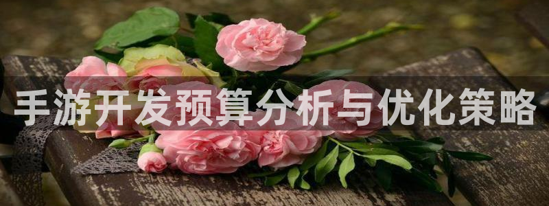 恒盛娱乐官网：手游开发预算分析与优化策略
