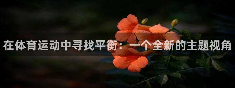 熊猫体育平台官网