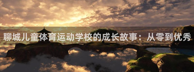 成都金熊猫体育