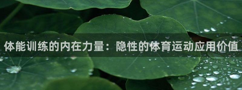 熊猫体育官网：体能训练的内在力量：隐性的体育运动应用价值