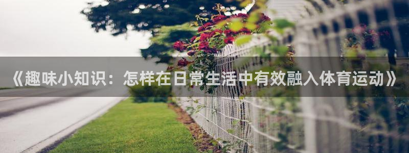 熊猫体育app官方下载最新版：《趣味小知识：怎样在日常生活中有效融入体育运动》
