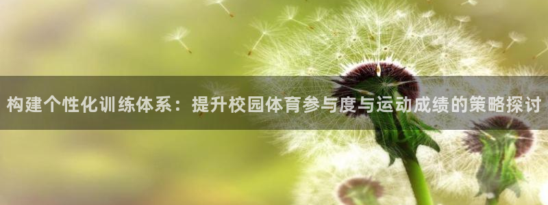 熊猫体育平台：构建个性化训练体系：提升校园体育参与度与运动成绩的策略探讨
