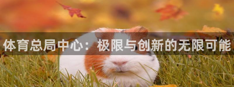 熊猫体育v3.新网页.org：体育总局中心：极限与创新的无限可能